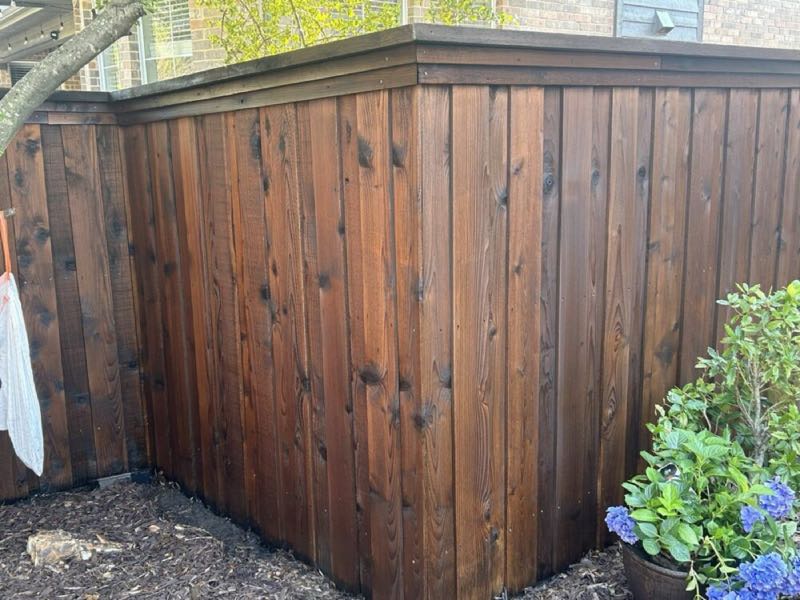 Cedar Privacy Fence in Lewisville