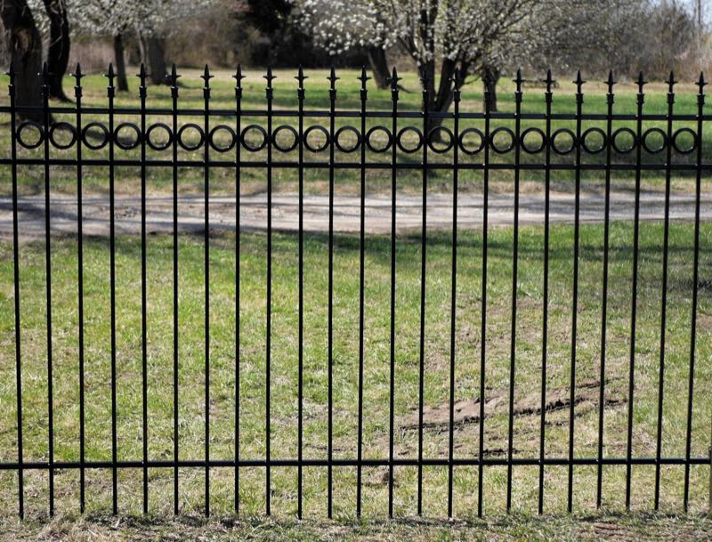 Iron Fence near Flower Mound